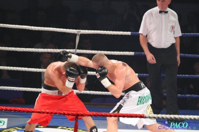 Łukasz Maciec vs Laszlo Fazekas: Walka o pas federacji WBF 