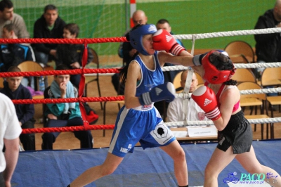 MOL Chełm 2013 :  Małgorzata Choma (Mechanik Włodawa) - Alina Szyszko (Boks Lublin)