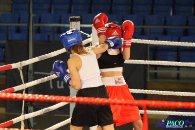 XIII MP Seniorek w Boksie Andrzejewska Anna Gwardia Łódź vs Bogoń Paulina PTB Tiger Tarnów 1:2