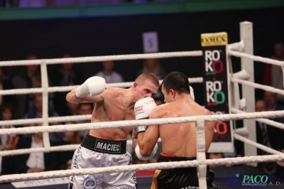 Windoor Radom Boxing Night:  Łukasz Maciec - Sasun Karapetjan