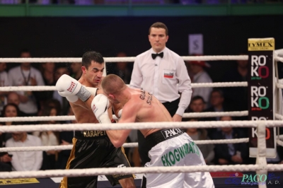 Windoor Radom Boxing Night:  Łukasz Maciec - Sasun Karapetjan