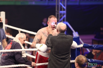 Gala Windoor Radom Boxing Night: Nikodem Jeżewski - Victor Szalai