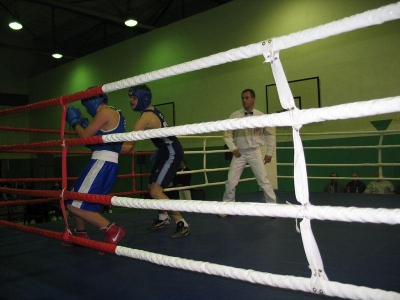 VIII Międzynarodowym Turniej Bokserski, Zamość