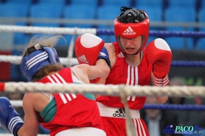 13. Mistrzostwa Polski Kobiet w Boksie - półfinał kat. 48 kg: Patrycja Bednarek (PKB Polkowice) - Agnieszka Słomska (Broń Radom)