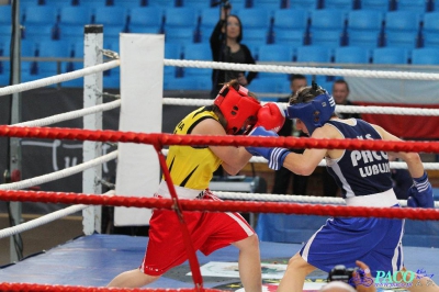 13. Mistrzostwa Polski Kobiet w Boksie - półfinał kat. 54 kg: Karolina Michalczuk - Paulina Zdanowicz