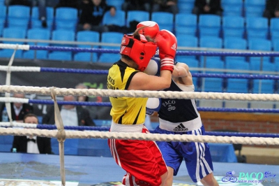 13. Mistrzostwa Polski Kobiet w Boksie - półfinał kat. 54 kg: Karolina Michalczuk - Paulina Zdanowicz