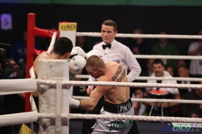 Windoor Radom Boxing Night:  Łukasz Maciec - Sasun Karapetjan