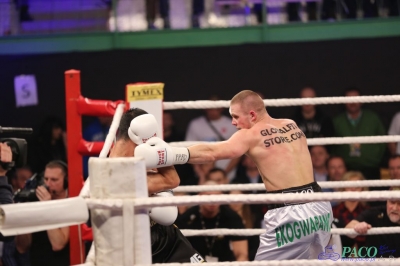 Windoor Radom Boxing Night:  Łukasz Maciec - Sasun Karapetjan