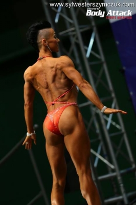 Ogólnopolskie Mistrzostwa Śląska w Kulturystyce i Fitness w Częstochowie, 11-12 kwietnia 2015 r.