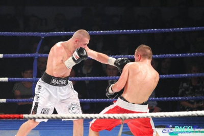 Łukasz Maciec vs Laszlo Fazekas: Walka o pas federacji WBF 