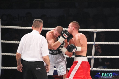 Łukasz Maciec vs Laszlo Fazekas: Walka o pas federacji WBF 