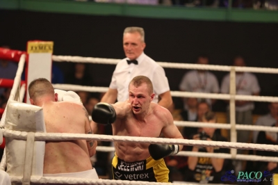 Gala Windoor Radom Boxing Night: Nikodem Jeżewski - Victor Szalai