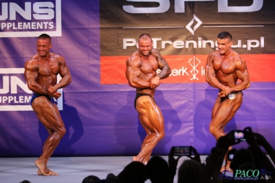 Kulturystyka mężczyzn do 95kg - XXXIX Mistrzostwa Polski w Kulturystyce i Fitness Kielce 2015