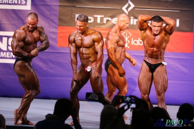 Kulturystyka mężczyzn do 95kg - XXXIX Mistrzostwa Polski w Kulturystyce i Fitness Kielce 2015