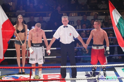 Łukasz Maciec vs Laszlo Fazekas: Walka o pas federacji WBF 