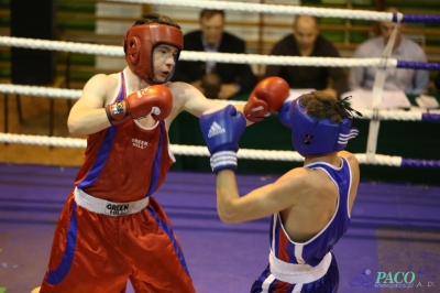 Towarzyski Mecz Bokserski - MKS II LO Chełm vs Klub Sportowy Paco: Kamil Wieczorek nie dał szans Dawidowi WiercioMichał Soczyński szybko uporał się z Oskarem Kurpielem