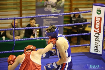 Towarzyski Mecz Bokserski - MKS II LO Chełm vs Klub Sportowy Paco: Kamil Wieczorek nie dał szans Dawidowi WiercioMichał Soczyński szybko uporał się z Oskarem Kurpielem