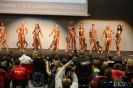 Bikini fitness kobiet - wszechkategoria Puchar Polski 2013