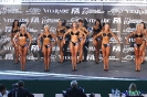 Fitness sylwetkowe kobiet +163 cm Debiuty 2012