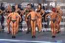Fitness sylwetkowe kobiet +163 cm Debiuty 2012