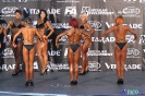 Fitness sylwetkowe kobiet +163 cm Debiuty 2012