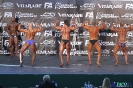 Kulturystyka mężczyzn 75 kg Debiuty 2012