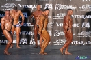 Kulturystyka mężczyzn +90 kg Debiuty 2012