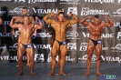 Kulturystyka mężczyzn +90 kg Debiuty 2012