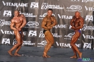 Kulturystyka mężczyzn +90 kg Debiuty 2012