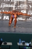Kulturystyka mężczyzn +90 kg Debiuty 2012
