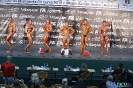 Kulturystyka mężczyzn +90 kg Debiuty 2012
