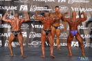 Kulturystyka mężczyzn +90 kg Debiuty 2012