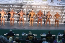 Kulturystyka mężczyzn +90 kg Debiuty 2012