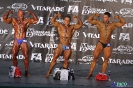 Kulturystyka mężczyzn +90 kg Debiuty 2012