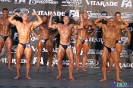 Kulturystyka mężczyzn +90 kg Debiuty 2012