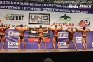 Ogólnopolskie Mistrzostwa Śląska w Kulturystyce i Fitness w Częstochowie, 11-12 kwietnia 2015 r.