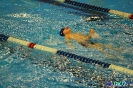 II Otwarte Mistrzostwa KS Olmipia w pływaniu