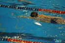 II Otwarte Mistrzostwa KS Olmipia w pływaniu