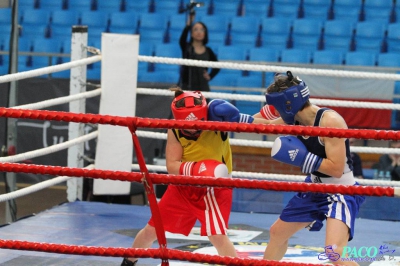 13. Mistrzostwa Polski Kobiet w Boksie - półfinał kat. 54 kg: Karolina Michalczuk - Paulina Zdanowicz