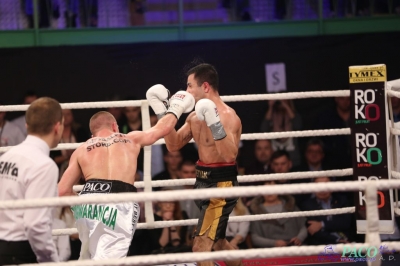 Windoor Radom Boxing Night:  Łukasz Maciec - Sasun Karapetjan