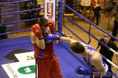 Towarzyski Mecz Bokserski - MKS II LO Chełm vs Klub Sportowy Paco: Bartosz Wdowiak vs Mikołaj Sadurski